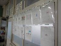 IMG_5886.jpg
