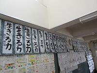 IMG_5905.jpg
