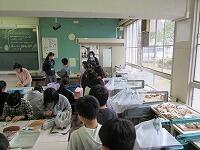 IMG_6011.jpg