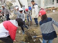 IMG_6170.jpg
