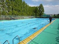 IMG_7101.jpg