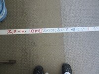 IMG_7154.jpg