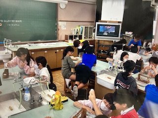 IMG_7179.jpg
