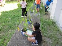 IMG_7195.jpg