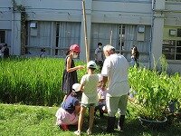 IMG_7200.jpg