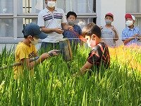 IMG_7206.jpg