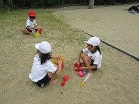 IMG_7229.jpg