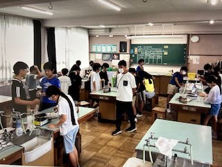 IMG_7262.jpg