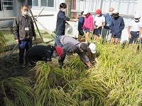 IMG_7654.jpg