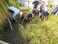IMG_7655.jpg