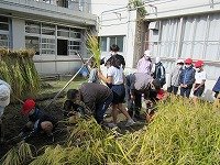 IMG_7656.jpg