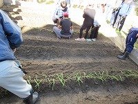 IMG_7930.jpg