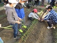 IMG_7932.jpg