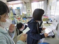IMG_8075.jpg