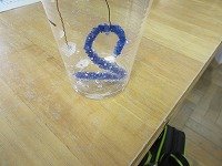 IMG_8116.jpg