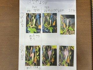 IMG_9138.jpeg