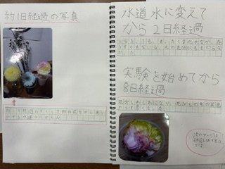 IMG_9142.jpeg