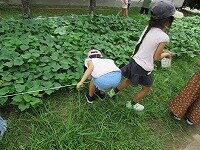 IMG_7194.jpg