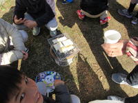 IMG_4051.JPG
