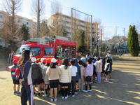 IMG_4132.JPG