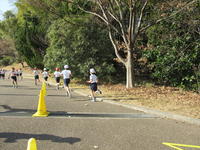 IMG_4187.JPG
