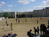 IMG_4251.JPG