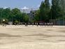 IMG_1964.jpeg
