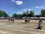 IMG_2495.jpeg