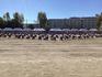 IMG_2472.jpeg
