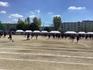 IMG_2491.jpeg