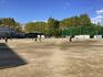 IMG_2498.jpeg