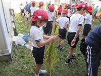 IMG_7645.jpg