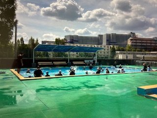 IMG_7129.jpg