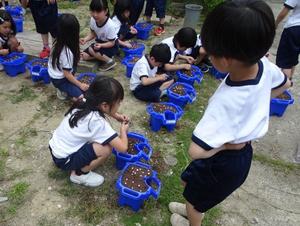 生活科7.JPG