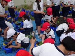 生活科4.JPG