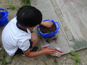 生活科6.JPG