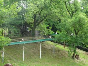 03公園で遊ぶ゛.JPG