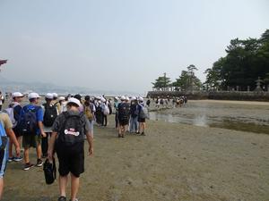 07海の底を歩く.JPG