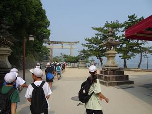 04厳島神社へ.JPG