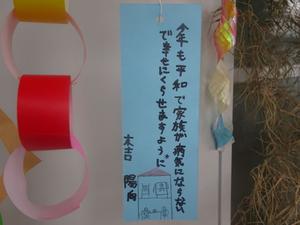 ひまわり合同4.JPG