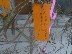 ひまわり合同5.JPG