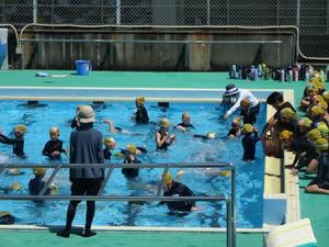 プール日和3.JPG