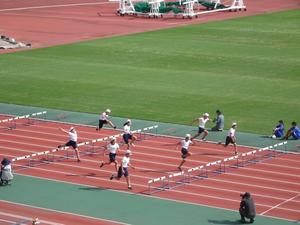 ６年陸上大会3.JPG