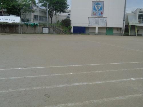 DSC03784.JPG