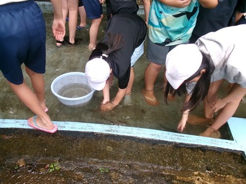 104_0712.JPG