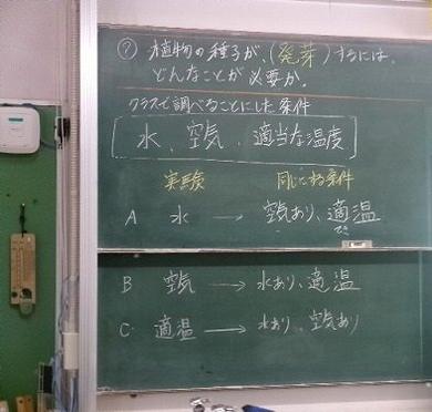 105_0584.jpg