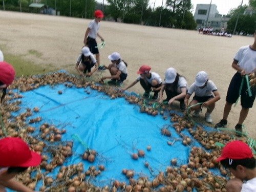 105_2684.jpg