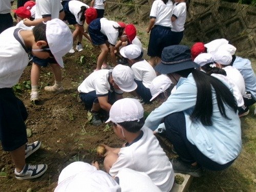 105_2728.jpg