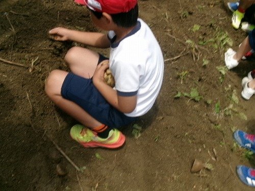105_2771.jpg