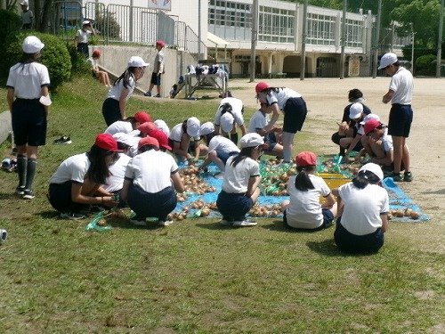 105_2798.jpg